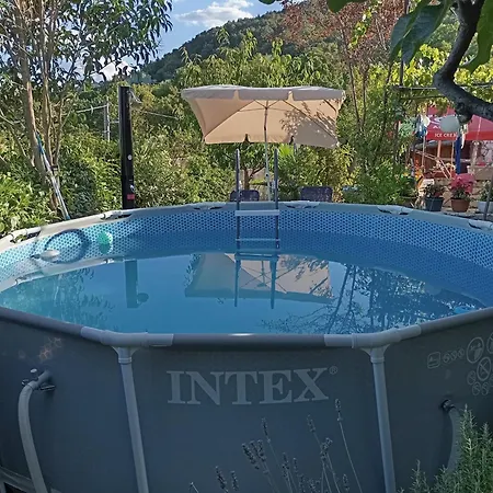 Manuela マトゥリ