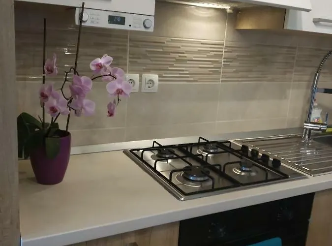 アパート Manuela